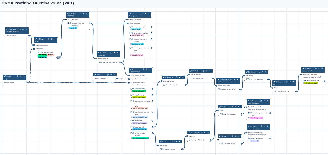 K-mer analysis and genome size estimate